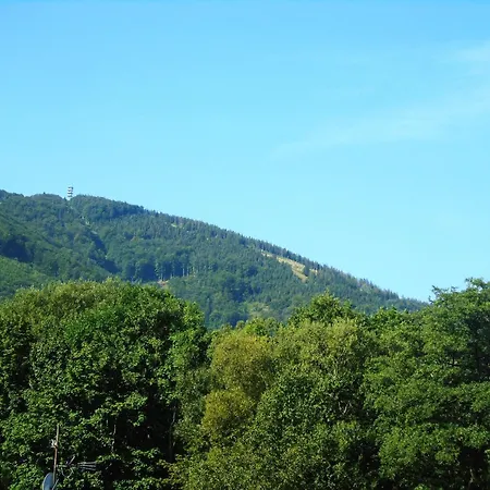 Toris 3* 特日内茨